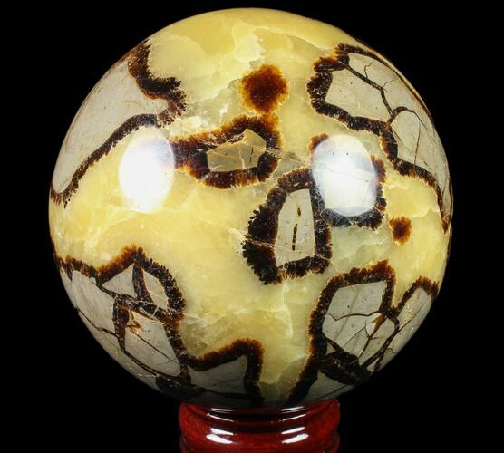 Polished Septarian Sphere - lbs #79330